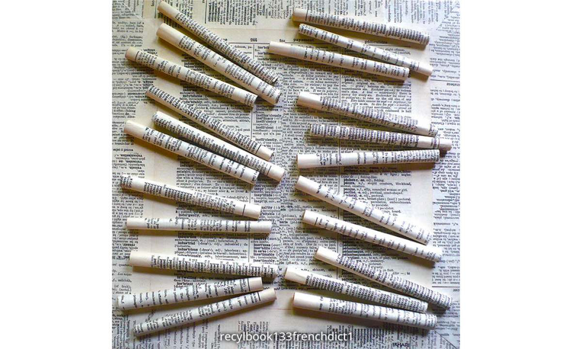 recylbook133frenchdict1