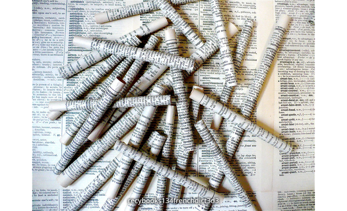 recybooks134frenchdict3d3